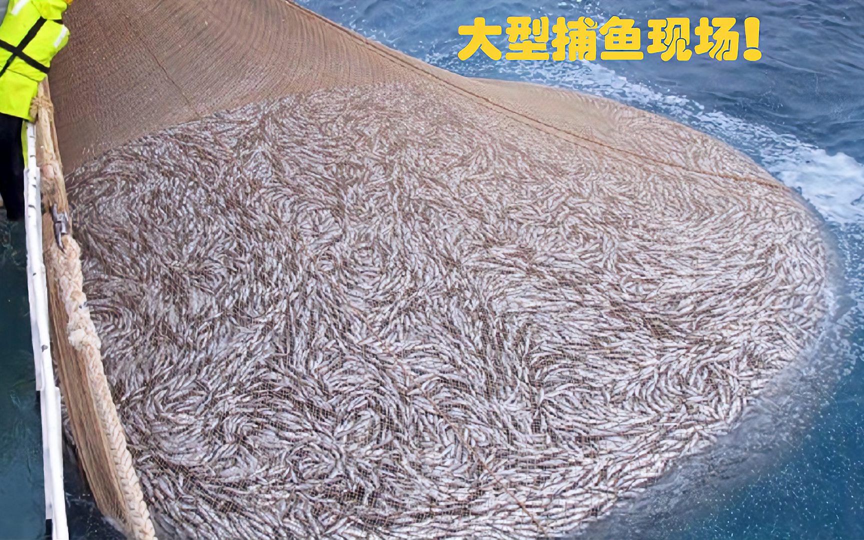 深海养殖网